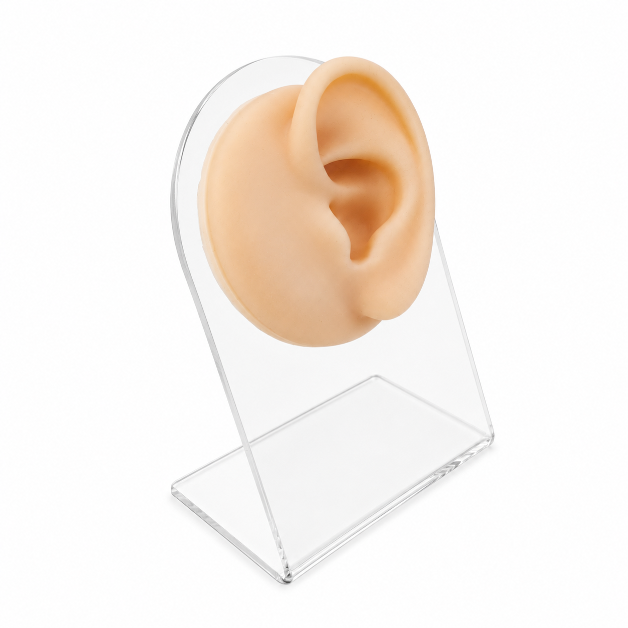 Silicone Ear Display Stand with Clear Plexiglass Holder